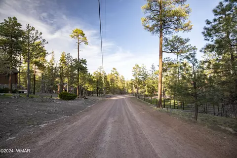 11 Co Rd 2074, Alpine, AZ 85920