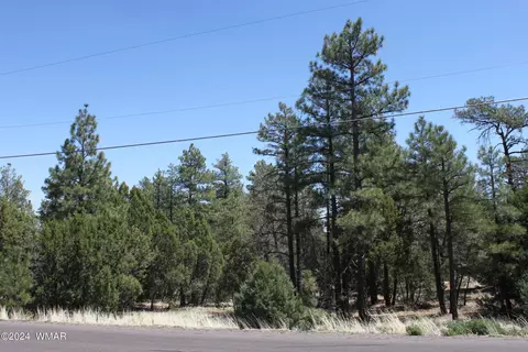 16 Th Ave 182 Acres, Show Low, AZ 85901
