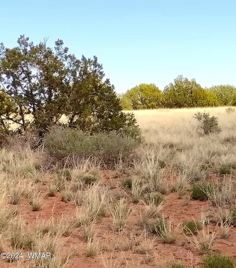 4241 Clydesdale Rd, Snowflake, AZ 85937