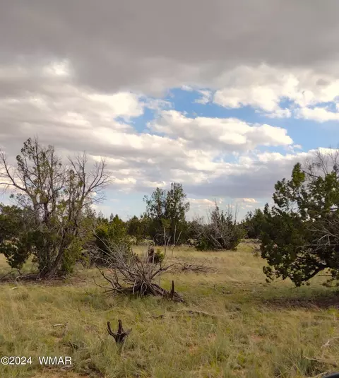 lot94 A Witch Well Rnch, Saint Johns, AZ 85936