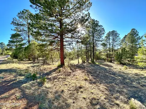 2882 Silver Dollar St, Overgaard, AZ 85933