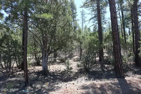 4460 W Hawthorn Rd, Show Low, AZ 85901