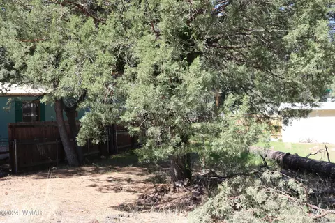 920 N 43rd Dr, Show Low, AZ 85901