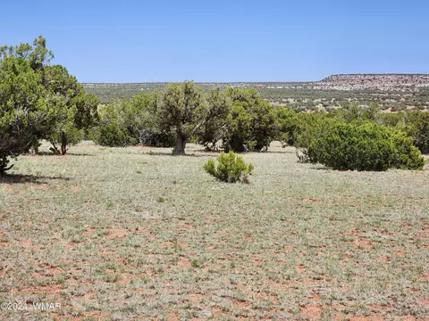 2783 Betty Rd, Show Low, AZ 85901