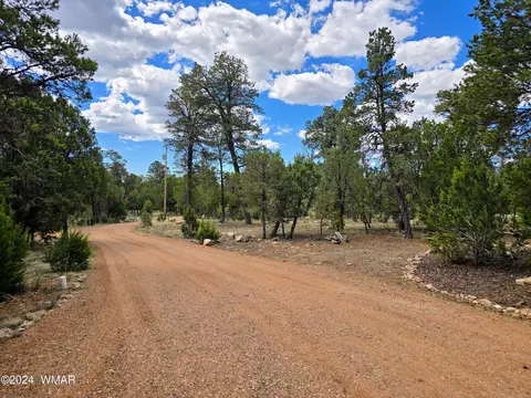 3060 Chevelon Rd # B, Overgaard, AZ 85928 photo 19