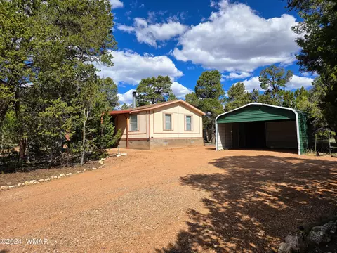 3060 Chevelon Rd # B, Overgaard, AZ 85928