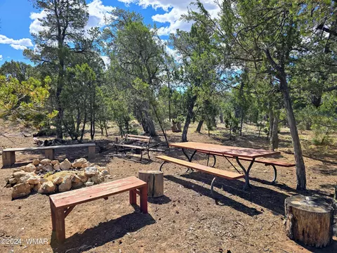 3060 Chevelon Rd # B, Overgaard, AZ 85928 photo 15