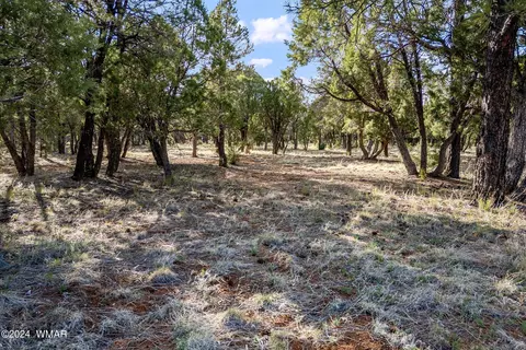 2756 Apollo Cir, Overgaard, AZ 85933