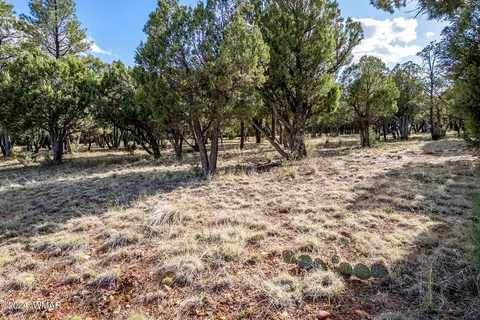 2756 Apollo Cir, Overgaard, AZ 85933 photo 2
