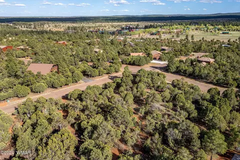 2756 Apollo Cir, Overgaard, AZ 85933 photo 11