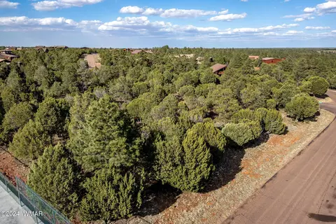 2756 Apollo Cir, Overgaard, AZ 85933 photo 3