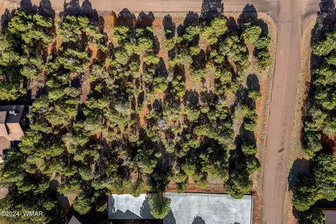 2756 Apollo Cir, Overgaard, AZ 85933 photo 8