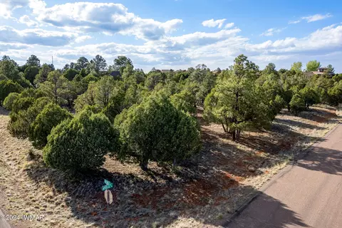 2756 Apollo Cir, Overgaard, AZ 85933 photo 4