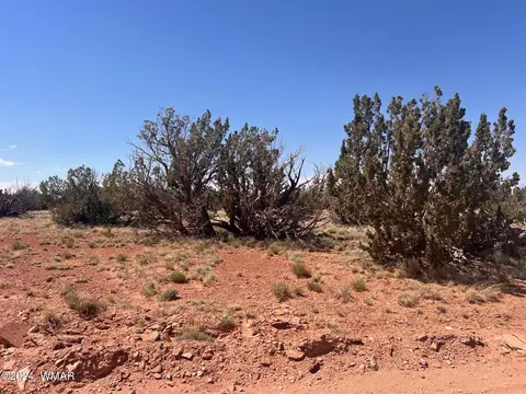 6036 Mesa View Dr, Heber, AZ 85928 photo 7