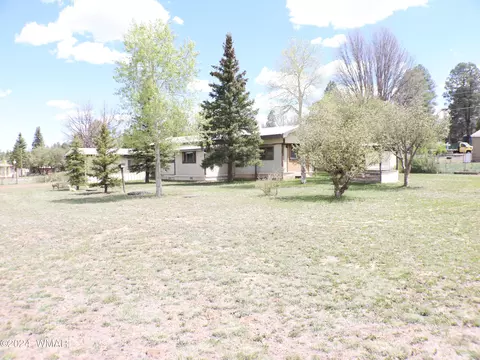 4365 Pheasant Trl, Show Low, AZ 85901
