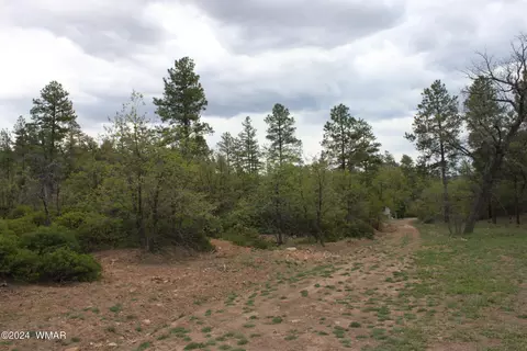 6260 Indian Hill Ln, Show Low, AZ 85901