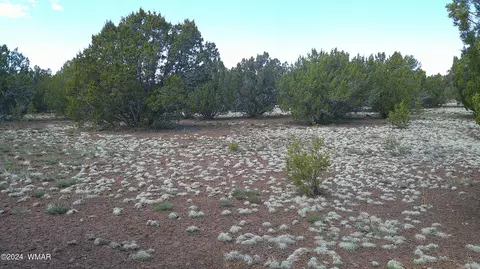 17 Co Rd 3199 #185, Vernon, AZ 85940