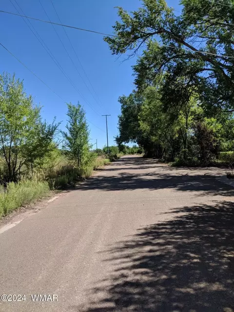 92 E Belly Button Ln, Snowflake, AZ 85937 photo 3