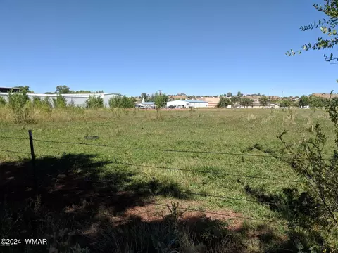 92 E Belly Button Ln, Snowflake, AZ 85937 photo 2