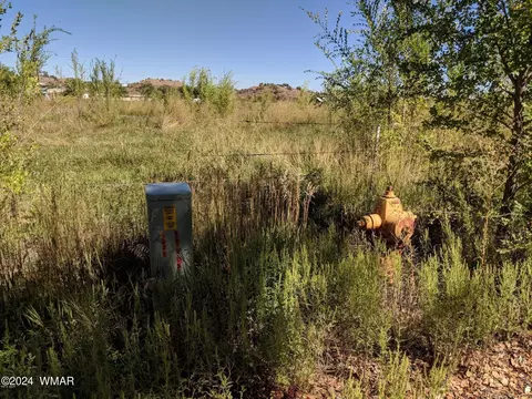 92 E Belly Button Ln, Snowflake, AZ 85937 photo 4