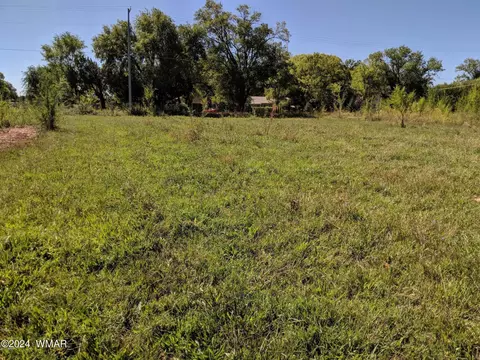 92 E Belly Button Ln, Snowflake, AZ 85937