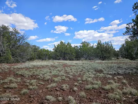 12 14 County Road N3573, Vernon, AZ 85940