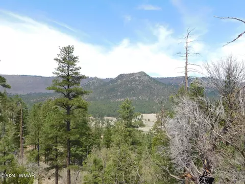 lot4 N2277, Nutrioso, AZ 85932