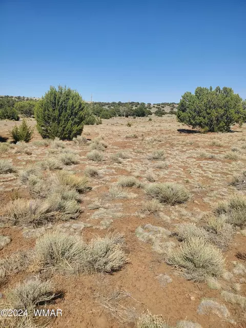 Apn 205-54-007, Saint Johns, AZ 85936
