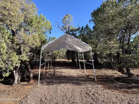 3546 Juniper Break Trl, Overgaard, AZ 85933 photo 11