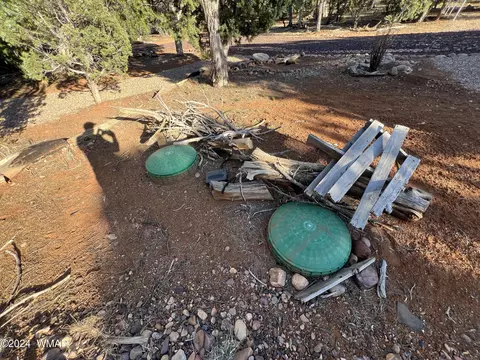 3546 Juniper Break Trl, Overgaard, AZ 85933 photo 10