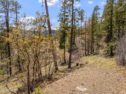 9 2076, Alpine, AZ 85920 photo 2