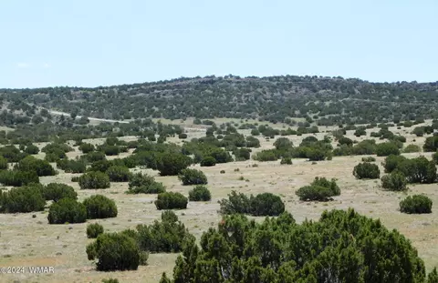 Tbd County Road N5335, Concho, AZ 85924