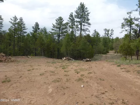 3598 Pine Needle Dr, Show Low, AZ 85901