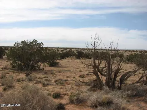 5781 Dark Canyon Dr, Heber, AZ 85928