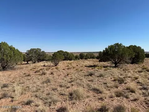 77 N9259, Concho, AZ 85924
