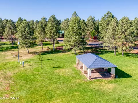 View/Area - 2346 S Buffalo Loop, Overgaard, AZ 85933 photo 4 of 5