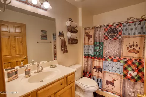 Bath - 2346 S Buffalo Loop, Overgaard, AZ 85933 photo 2 of 2