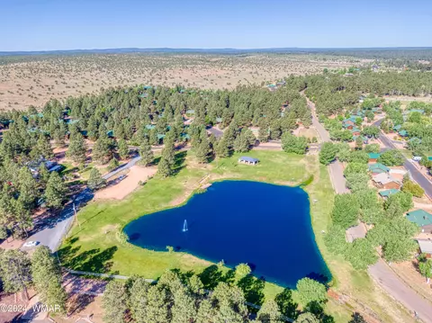 View/Area - 2346 S Buffalo Loop, Overgaard, AZ 85933 photo 2 of 5