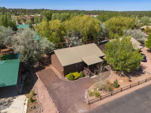 View/Area - 2346 S Buffalo Loop, Overgaard, AZ 85933 photo 1 of 5