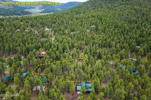 538 County Rd 1122, Greer, AZ 85927