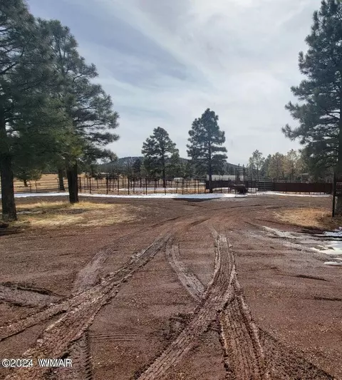 9591 Porter Mountain Rd, Lakeside, AZ 85929