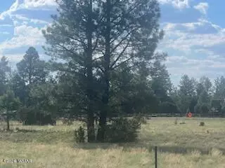 102 Lone Horseman Rd # C, Lakeside, AZ 85929