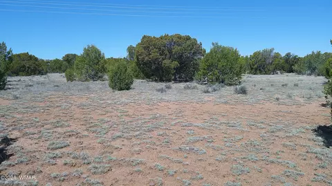 tbd Concho Vly, Concho, AZ 85924