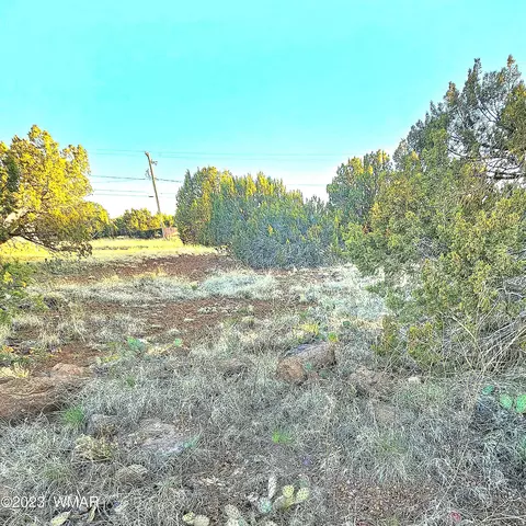 8693 Cox Dr, Show Low, AZ 85901