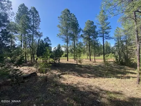 2051 S Trillium Ln, Show Low, AZ 85901