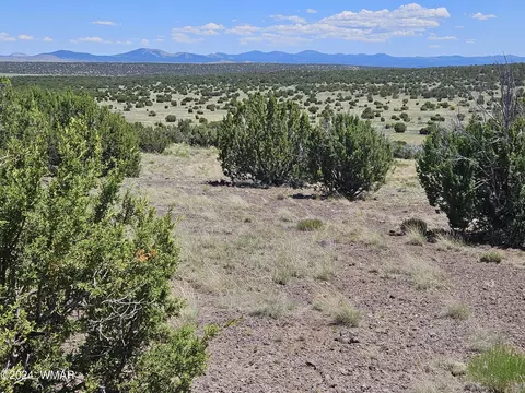 tbd N8515 Rd, Concho, AZ 85924