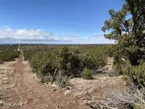 10 SE Tbd 107-37-029 A # A, Vernon, AZ 85940