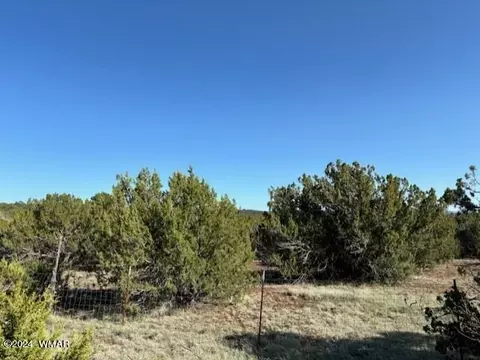 10 NE Tbd 107-37-029 A # A, Vernon, AZ 85940