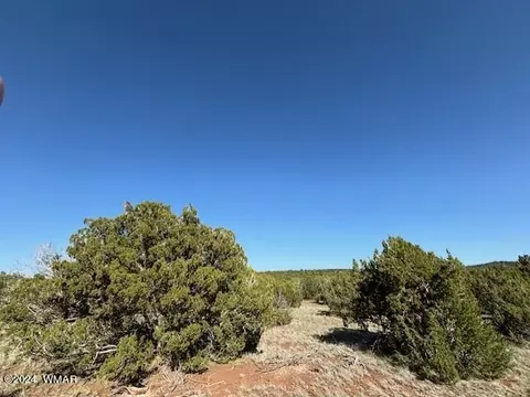 10 NW Tbd 107-37-029 B # A, Vernon, AZ 85940