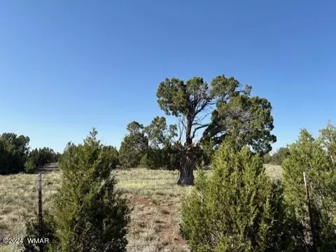 10 SW Tbd 107-37-029 B # A, Vernon, AZ 85940